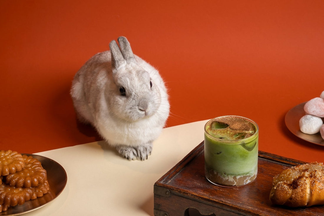 A white rabbit sitting next to a wooden tray with a matcha latte and salt bread