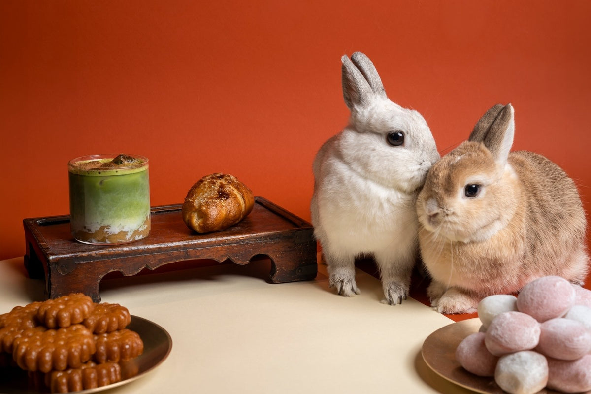 Two rabbits sitting together on a beige surface against a solid orange background, surrounded by a Chuseok table scape.